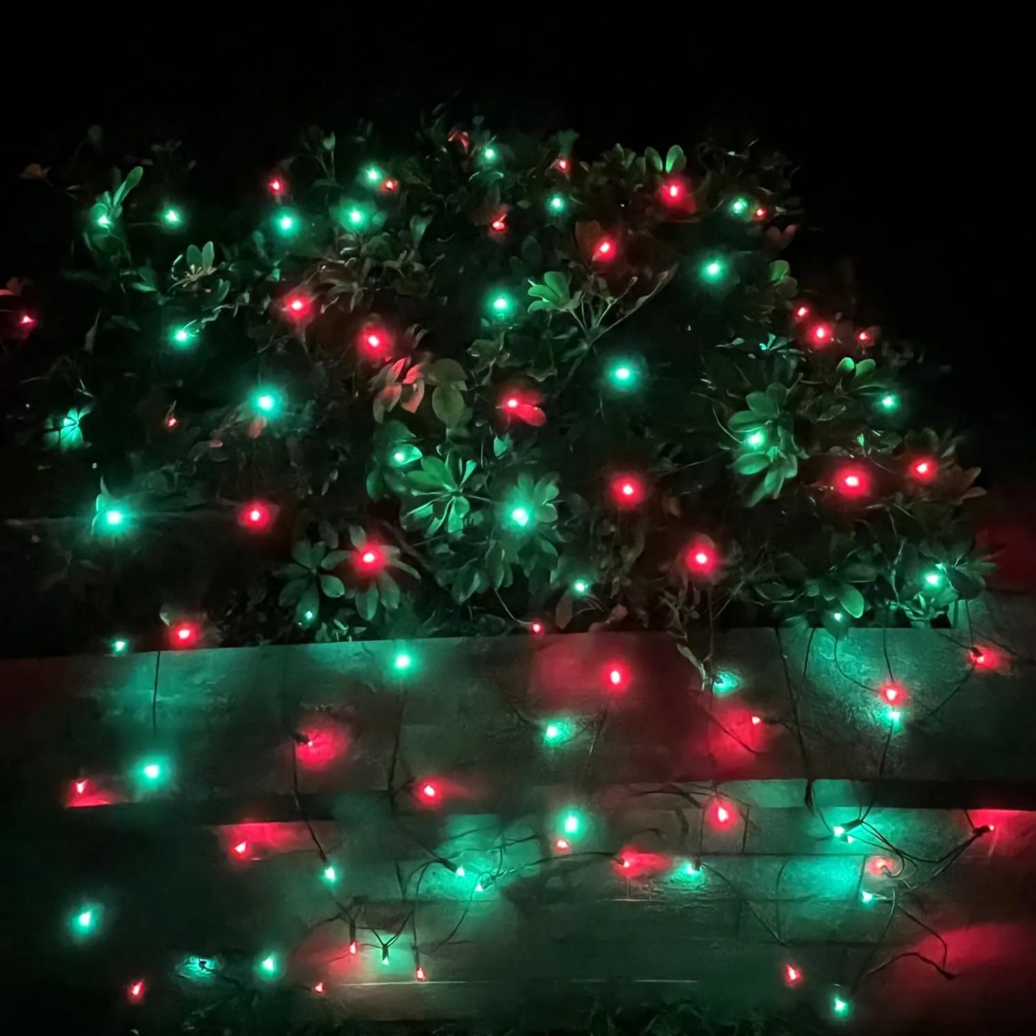 HISHINY LED Christmas Net Lights Outdoor Christmas Decorations Lights 5ftx5ft 100LED Green Wire, Connectable Bush Mesh Net Lights String for Halloween Christmas Party,Shrub,Yard,Tree（Red&Green）