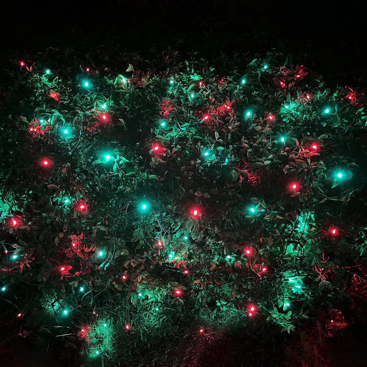 HISHINY LED Christmas Net Lights Outdoor Christmas Decorations Lights 5ftx5ft 100LED Green Wire, Connectable Bush Mesh Net Lights String for Halloween Christmas Party,Shrub,Yard,Tree（Red&Green）