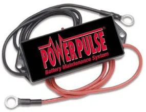 PowerPulse 12V Battery Maintenance System