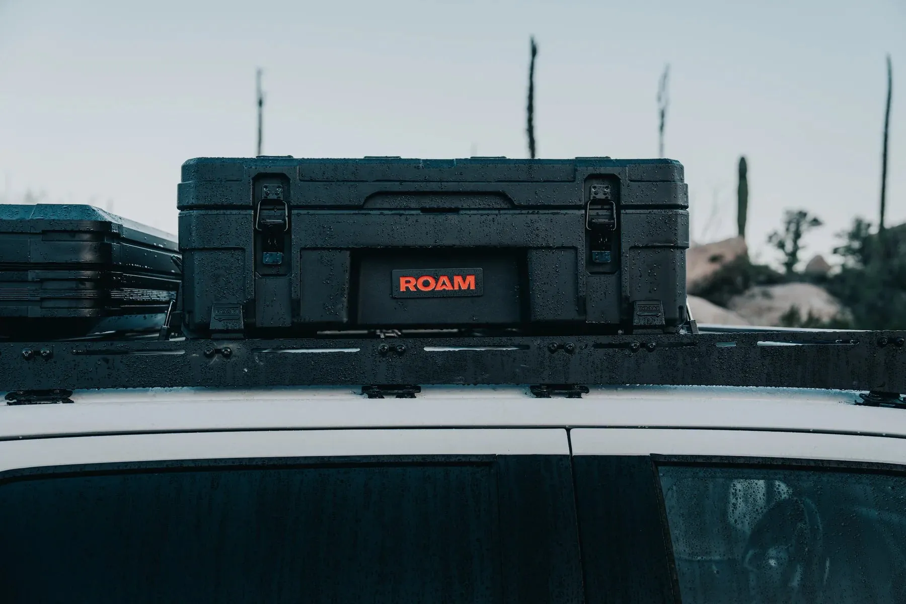 Roam Adventure Co 66L Rugged Case